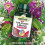 Natures Aid Natures Aid Multivitamins & Minerals 60 Tablets Iron Free One-a-Day 4