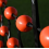 (17.5' x 7.2') Precision GK Ball Deflector Reactor Frame 12