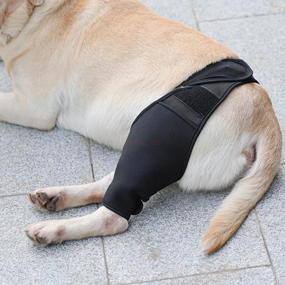 (S) Dog Elbow Protector Pads Dog Legs Protector Dog Knee Brace Protective Sleeve
