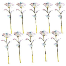 10pcs Colorful Galaxy Artificial Rose Flower Unlimited Gift Valentine's Day Christmas Tw