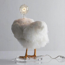 Chicken Led Lamp Egg Night Lamp Taxidermy Egg Desk Lamp