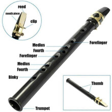 1pc Portable Mini Pocket Saxophone Little Sax Alto Pocket Saxophone-black
