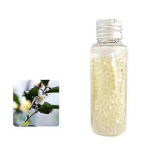 (Camellia) 1000pcs Crush Balls Beads Crushballs Dispenser Menthol Capsules Mint Menthol Tw