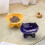 Ceramic Cat Bowl with Raised Stand, for Cats And Small Dogs Yellow 9