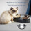 (Plastic Single Bowl) Pet Bowl Dog Feeding Bowl Adjustable Cat Bowl Drinking Bowl 5