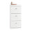 SoBuy Meuble à Chaussures 12 Paires, Blanc, 53x24x117 cm 14