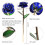 (H3) Eternal Rose Flower Band Vertical Wedding Decor Gift For Mom 4