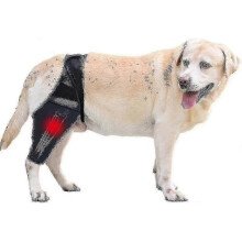 (S) Dog Knee Brace,dog Leg Brace Hip Support Brace For Cruciate Ligament Injuries, Ccl, Patella Dislocation Or Osteoarthritis