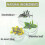 3pcs Ouhoe Herbal Repair Spray 4