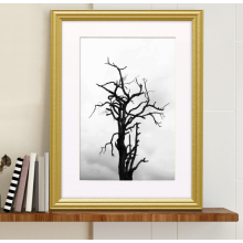 (A2 Pic (A1 Frame)) Gold Picture Frame / LW Style Wall Art Frame / Modern Photo Frames With White Mount