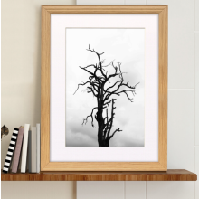 (16x12" Pic (20x16" Frame)) Oak Picture Frame / LW Style Wall Art Frame / Modern Photo Frames With White Mount