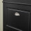 SoBuy Slim Shoe Cabinet 3-Drawer Black 6