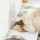 SoBuy Cat Litter Cabinet Storage Bench White 14