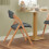 SoBuy Folding Chair Dark Grey, Padded & Compact 10