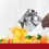 Chasser for Citrus Lemon Juicer 2