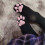 (White) Knee High Cat Paw Socks 3