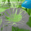 (3x4x5m, Green) Right Angled Outdoor Sun Shade - XC 4