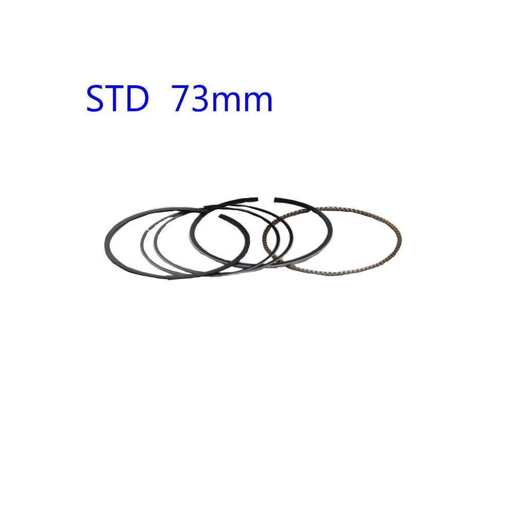 Motorcycle Ring Kit, Piston For Honda An250 Burgman Skywave 250 1998-2006 Dr250 1990-1995 73Mm 73.50Mm 74Mm Pin 19Mm 6935158946303