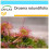 SAFLAX Set regalo - Rosolida - 50 semi - Drosera 1