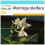 SAFLAX Geschenk Set - Moringa - Moringa - 10 Samen 1