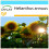 SAFLAX Geschenk Set - Sonnenblume Titan - Helianthus - 20 Samen 1