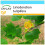 SAFLAX Geschenk Set - Echter Tulpenbaum - Liriodendron - 20 Samen 1
