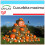 SAFLAX Geschenk Set - Kürbis – Giant - Cucurbita - 7 Samen 1