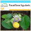 SAFLAX Geschenk Set - Süße Granadilla - Passiflora - 20 Samen 1