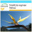SAFLAX Set regalo - Strelitzia gialla - 4 semi - Strelitzia 1