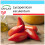SAFLAX Geschenk Set - Tomate - Andenhorn - Lycopersicon - 10 Samen 1