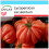 SAFLAX Geschenk Set - Tomate – Genovese - Lycopersicon - 10 Samen 1