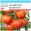 SAFLAX Geschenk Set - Tomate - Tigerella - Lycopersicon - 10 Samen 1