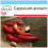 SAFLAX Geschenk Set - Chili – Cayenne - Capsicum - 20 Samen 1
