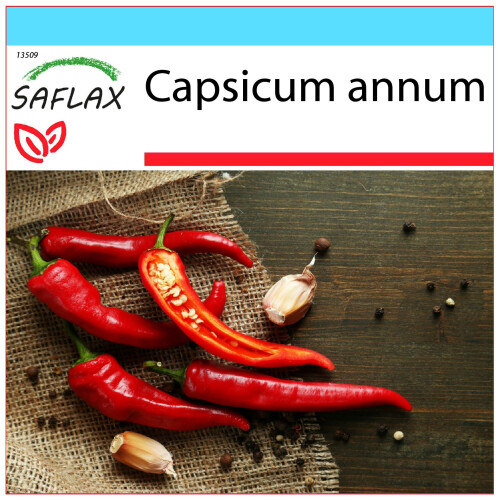 SAFLAX Geschenk Set - Chili – Cayenne - Capsicum - 20 Samen