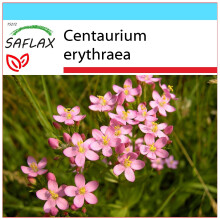 SAFLAX Geschenk Set - Tausendgüldenkraut - Centaurium - 250 Samen