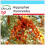SAFLAX Geschenk Set - Sanddorn - Hippophae - 40 Samen 1