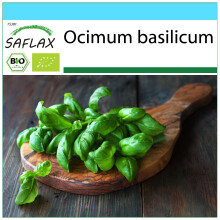 SAFLAX Geschenk Set - Basilikum Genovese - Ocimum - 800 Samen