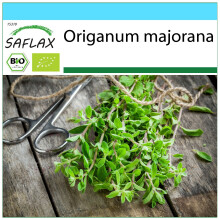 SAFLAX Geschenk Set - Majoran - Origanum - 700 Samen