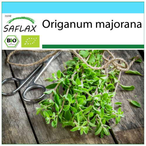 SAFLAX Geschenk Set - Majoran - Origanum - 700 Samen