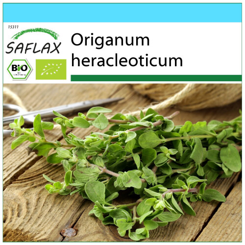 SAFLAX Geschenk Set - Oregano - Origanum - 1500 Samen