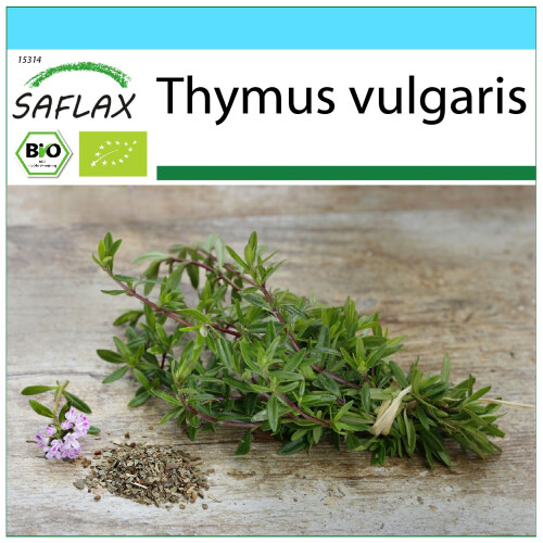 SAFLAX Geschenk Set - Thymian - Thymus - 800 Samen