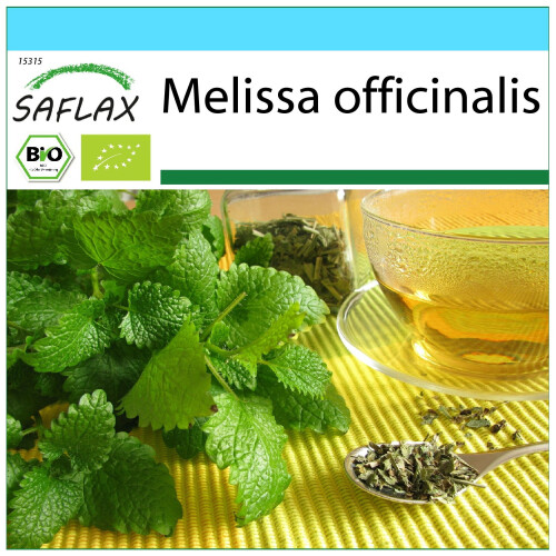 SAFLAX Geschenk Set - Zitronenmelisse - Melissa - 1000 Samen