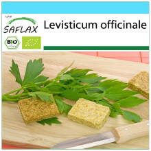 SAFLAX Geschenk Set - Liebstöckel - Levisticum - 100 Samen