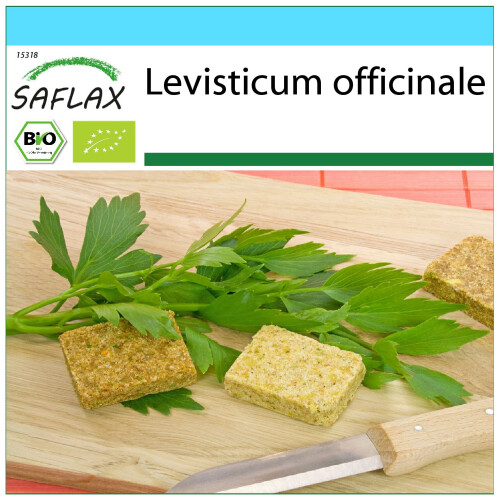 SAFLAX Geschenk Set - Liebstöckel - Levisticum - 100 Samen