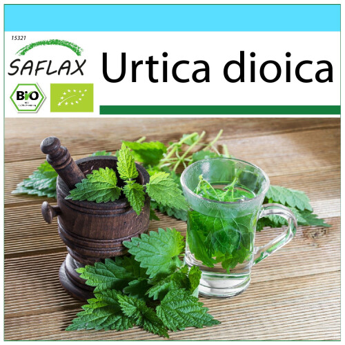 SAFLAX Geschenk Set - Brennnessel - Urtica - 2000 Samen