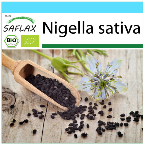SAFLAX Geschenk Set - Schwarzkümmel - Nigella - 300 Samen