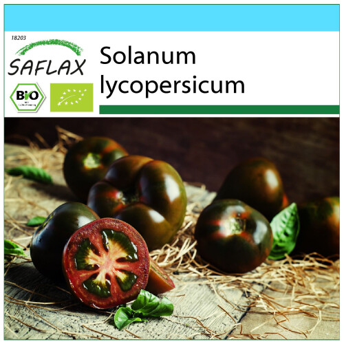 SAFLAX Geschenk Set - Tomate - Black Cherry - Solanum - 10 Samen