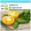 SAFLAX Geschenk Set - Tomate - Golden Queen - Solanum - 15 Samen 1