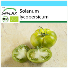 SAFLAX Geschenk Set - Tomate - Green Zebra - Solanum - 10 Samen