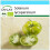 SAFLAX Geschenk Set - Tomate - Green Zebra - Solanum - 10 Samen 1
